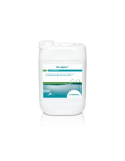 Bayrol Desalgin Classic Anti-algues - 6L