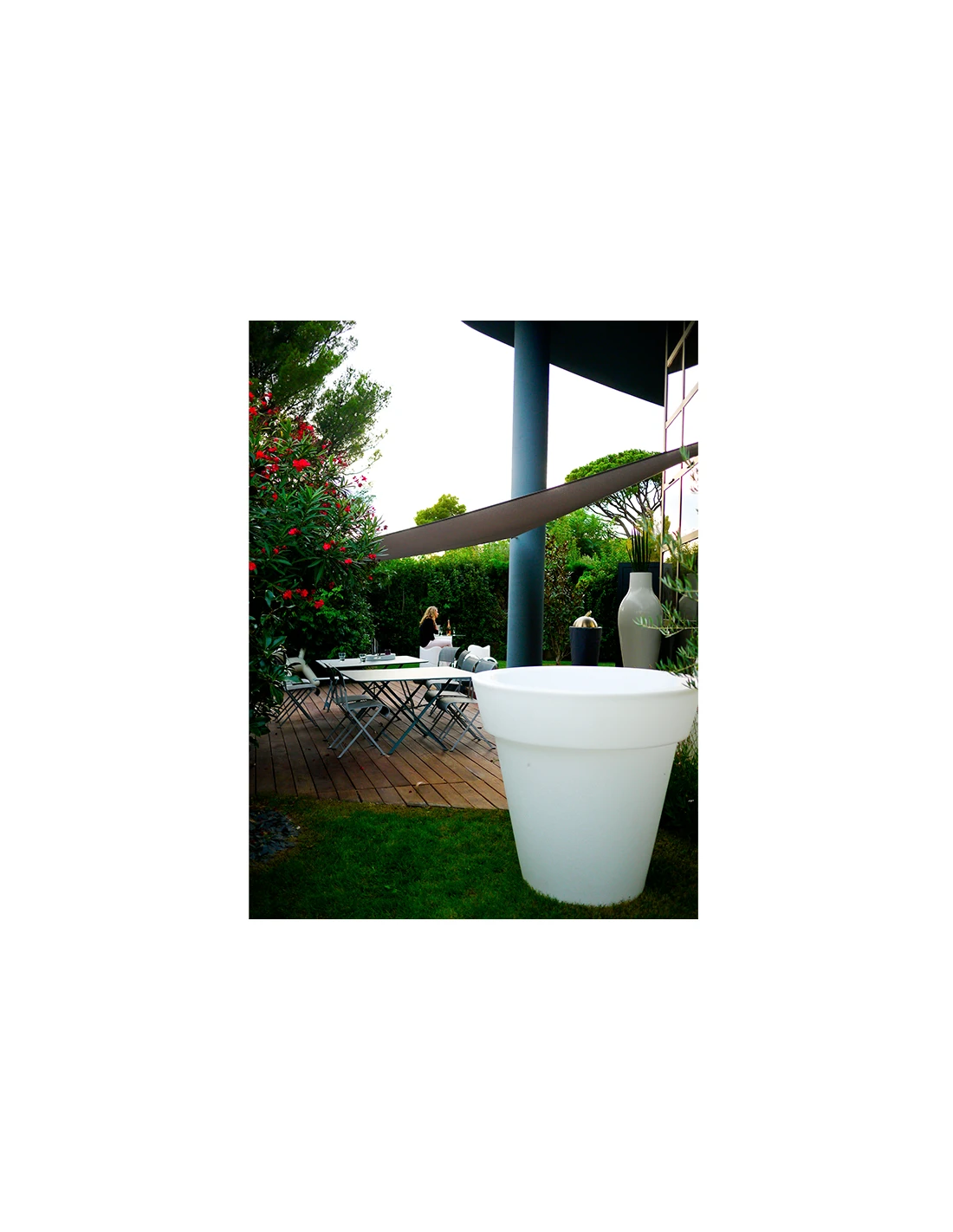 Loon Lagoon Medium 4 Loon Lagoon Medium – Image 2