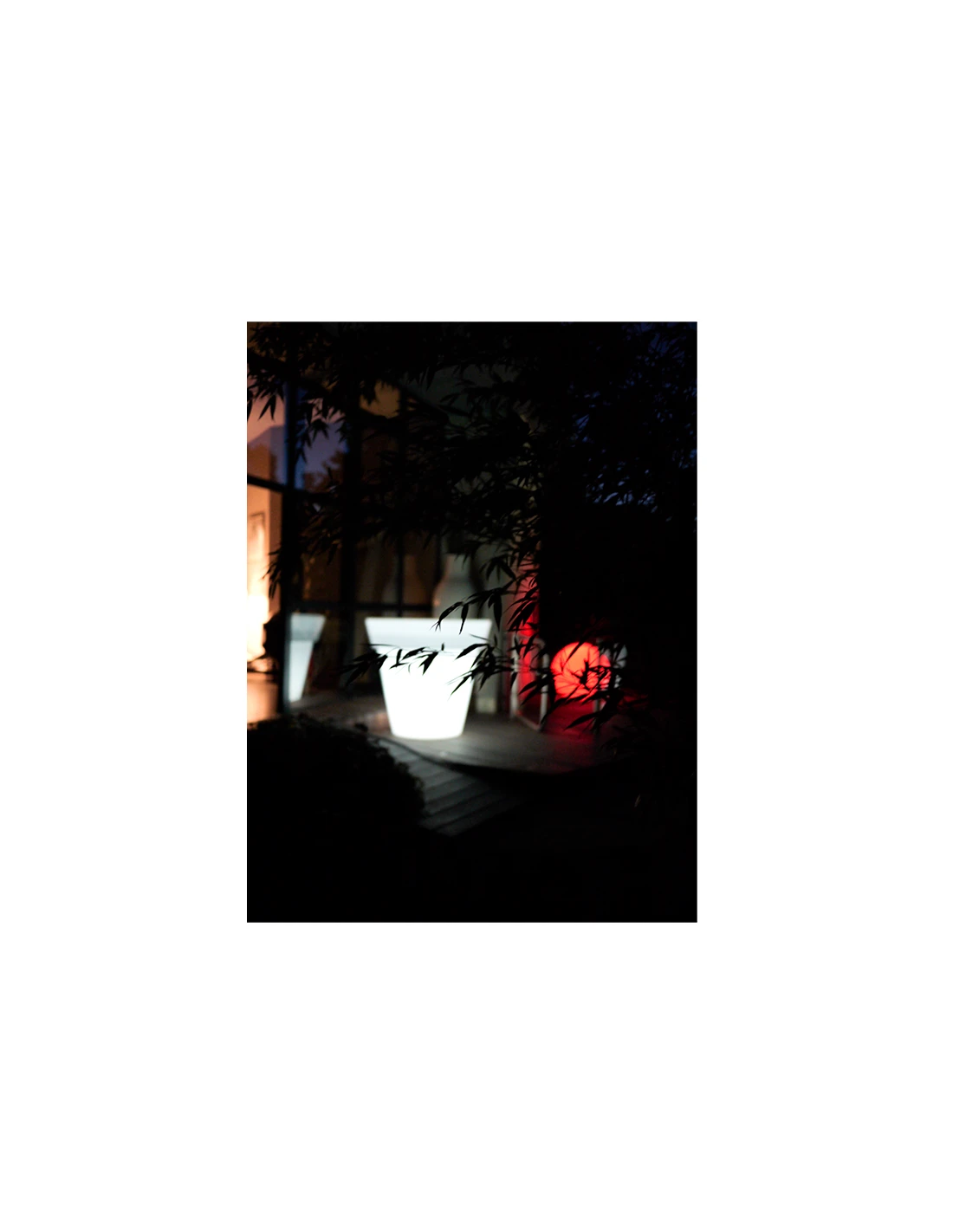 Loon Lagoon Medium 5 Loon Lagoon Medium – Image 3