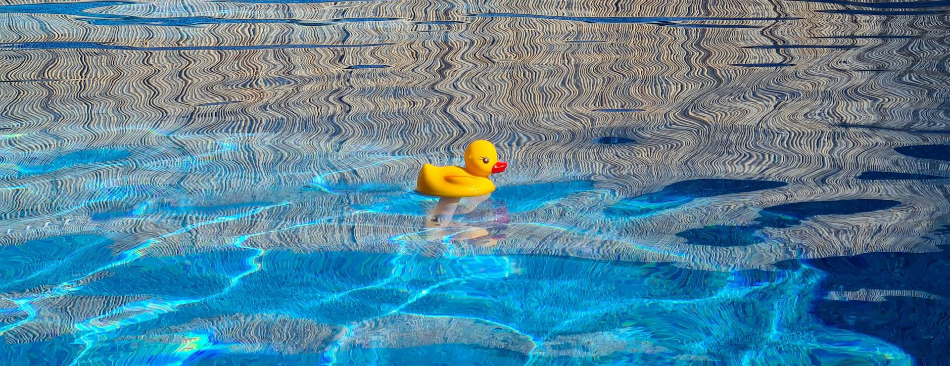 Boutique De Piscines -Boutique De Piscines pexels edgard 10959744