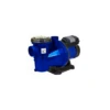 Pompe De Piscine Eco Plus VS100 -Boutique De Piscines pompe piscine