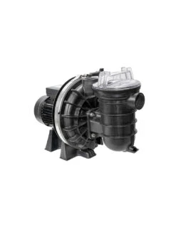 Pompe Sta-Rite 5P2R / 0,75CV-12M3/H Mono